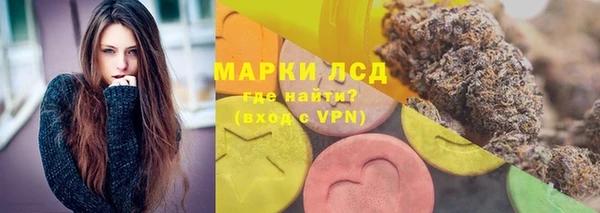 стафф Алексин