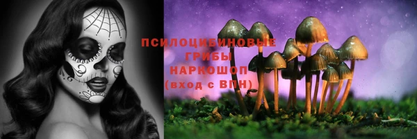 стафф Алексин