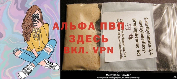 стафф Алексин