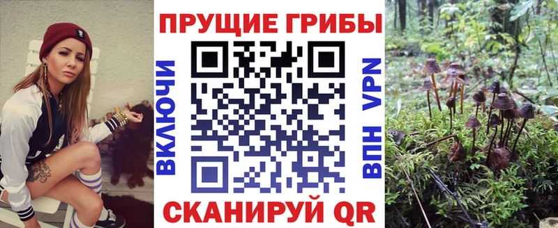 Купить закладки  Ахтырский  Псилоцибиновые грибы ЛСД 